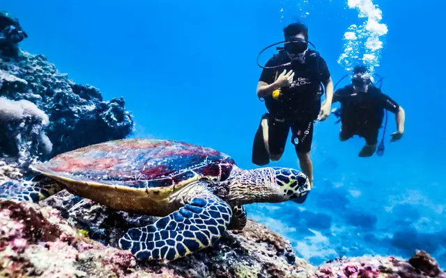 Scuba Diving Trips from Phuket: Racha Yai, Racha Noi & Phi Phi