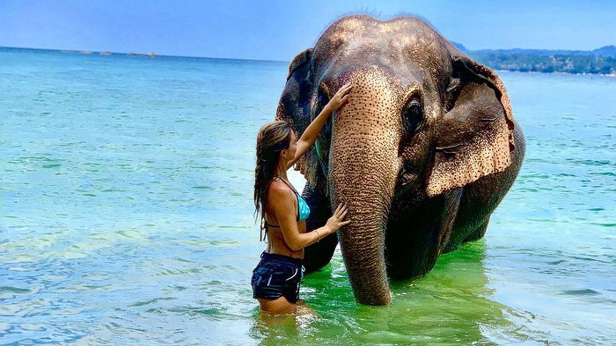 Заповедник слонов