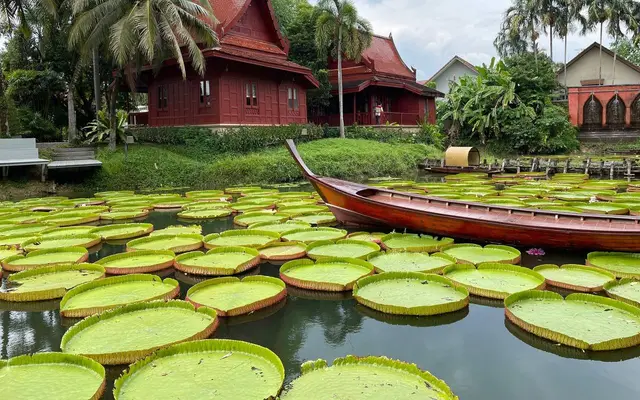 Instagram Spots of Phuket: Private Café & Viewpoint Tour