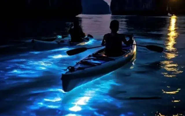 Glowing Plankton Tour from Phuket